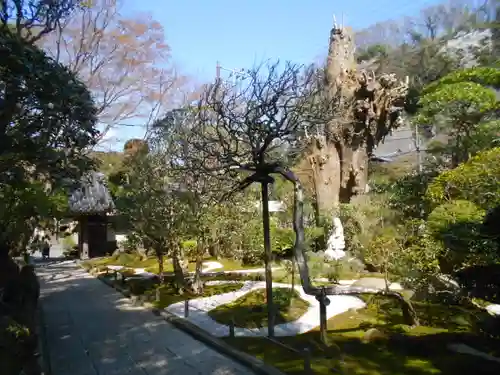 報国寺の庭園