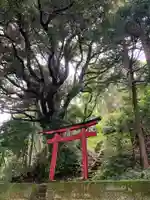 愛宕神社の鳥居