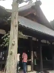 瑠璃光寺の建物その他