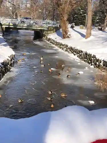 多賀神社の動物