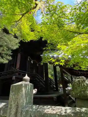 鴨神社の本殿・本堂