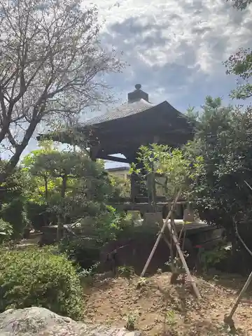 善徳寺(埼玉県)