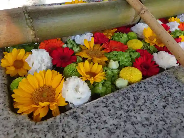 富岡八幡宮(東京都)