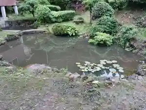 白狐山光星寺(山形県)(2026年05月30日(土) 08時04分22秒投稿)