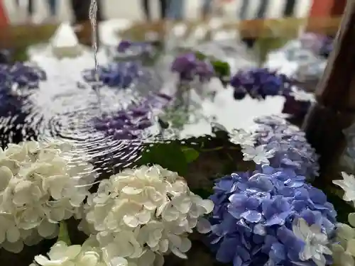 鶴岡八幡宮の手水舎