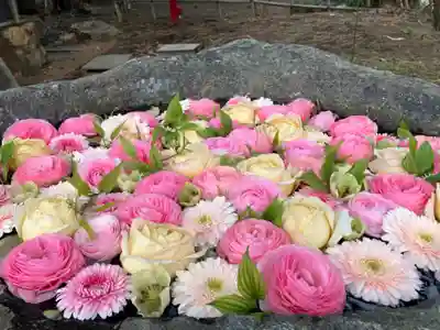 発寒神社(北海道)