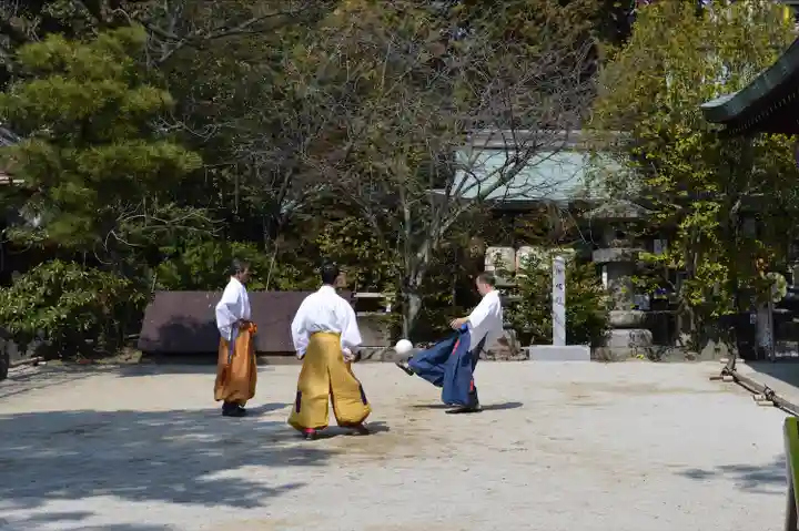 白峯神宮(京都府)