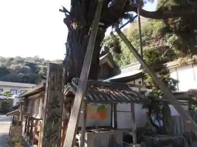 極楽寺(徳島県)