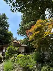 三峯神社(群馬県)