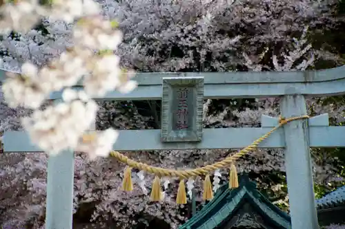 前玉神社の鳥居