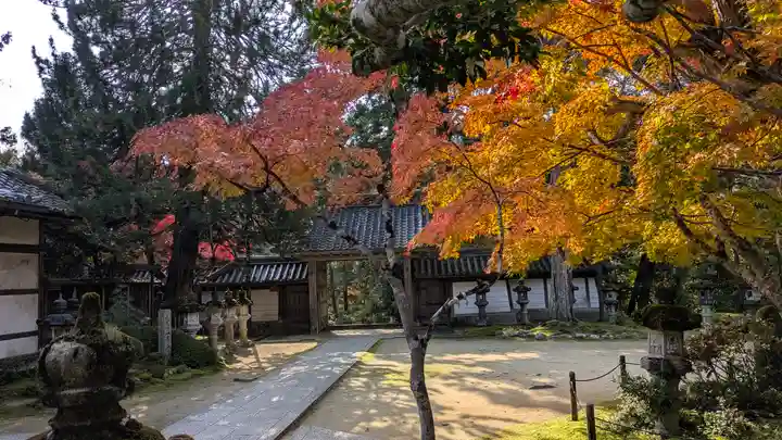 西明寺(京都府)