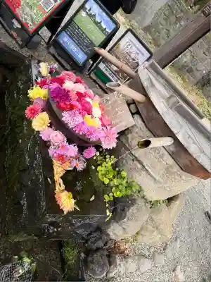 深大寺(東京都)