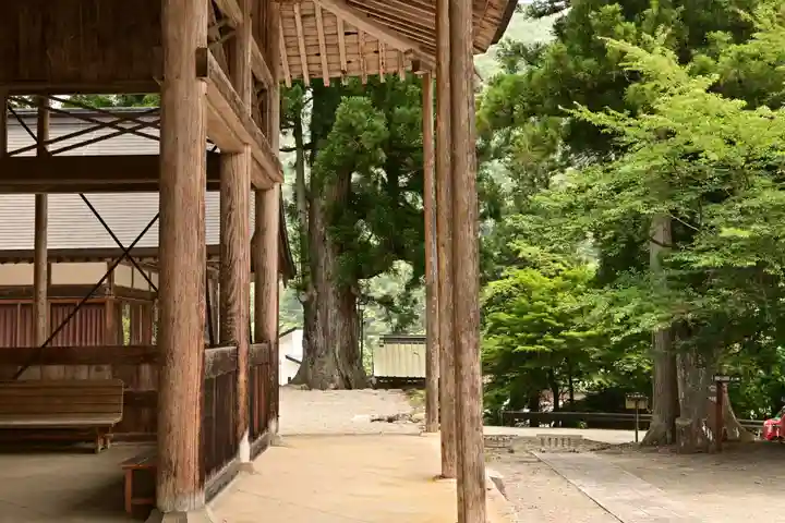 白山神社(長滝神社・白山長瀧神社・長滝白山神社)(岐阜県)