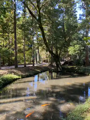 丹生大師 神宮寺の庭園