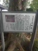 金剛院(埼玉県)