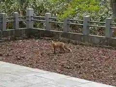 砂川神社(北海道)