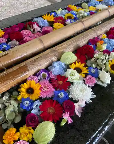 札幌護國神社の手水