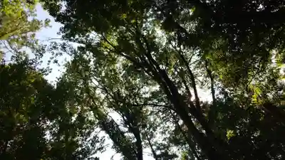 出雲大神宮(京都府)