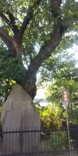 白山神社(東京都)