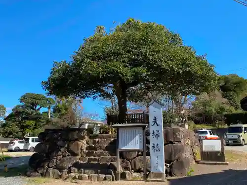 八重垣神社の庭園