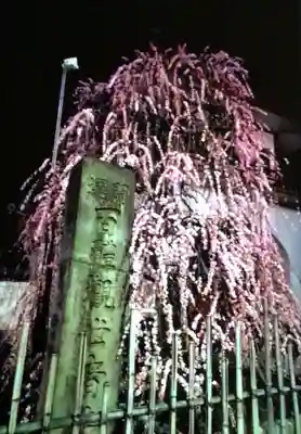 成願寺(東京都)