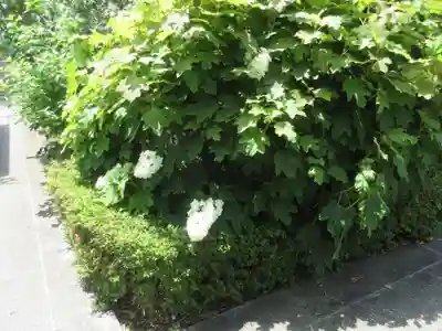 東福寺(神奈川県)