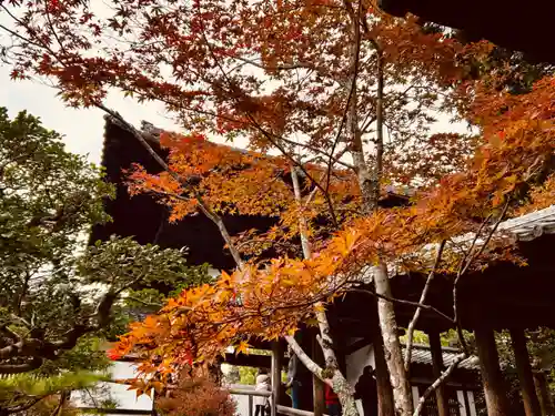 東福禅寺（東福寺）(京都府)