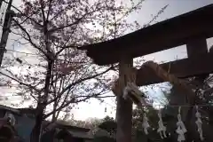 熊野神社の建物その他