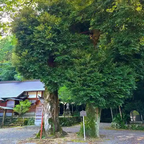 許禰神社(静岡県)