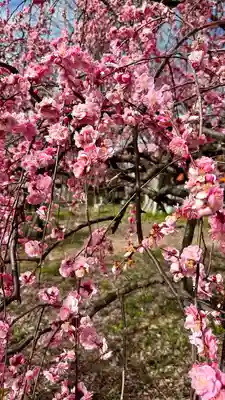 屯倉神社(大阪府)