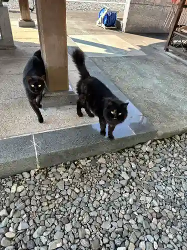 宝泉寺(神奈川県)