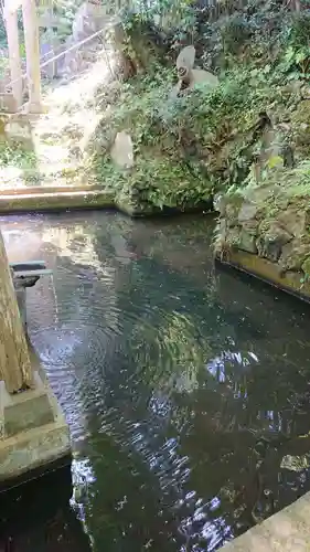 諏訪神社のその他建物