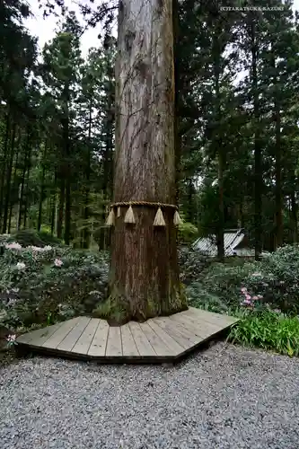 御岩神社の自然