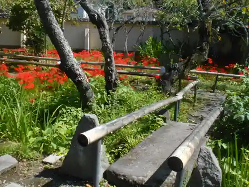 英勝寺の庭園