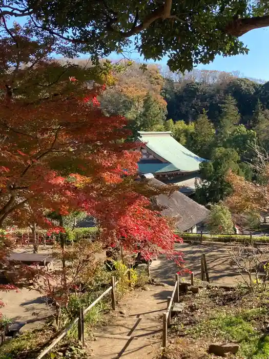 龍隠庵の建物その他