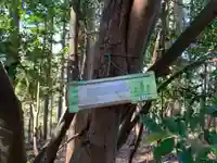 三峰神社の自然