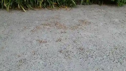 西方山極楽寺(岐阜県)