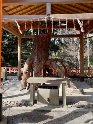 伏見稲荷大社(京都府)