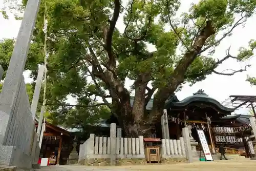 石切劔箭神社の自然