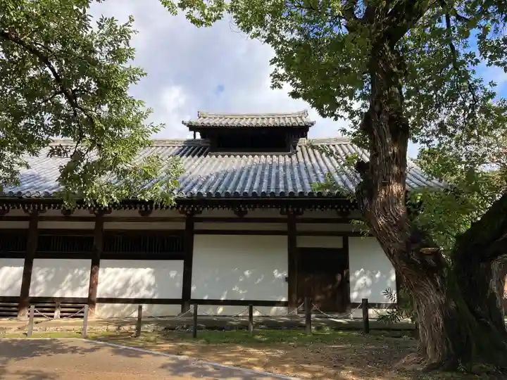 東大寺(奈良県)