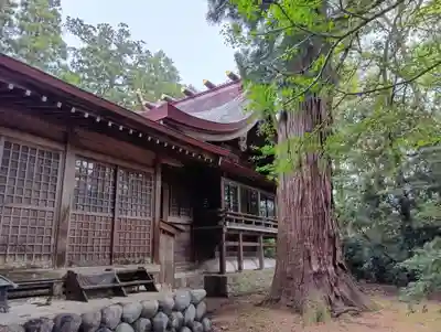 越中一宮 髙瀬神社(富山県)