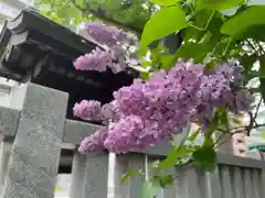 彌彦神社　(伊夜日子神社)(北海道)