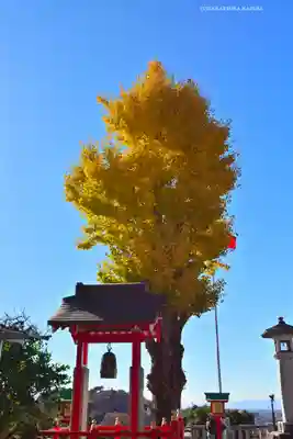 足利織姫神社(栃木県)