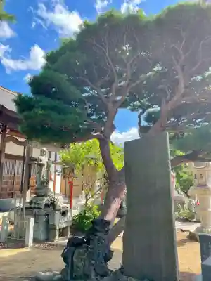 宝蔵院(千葉県)