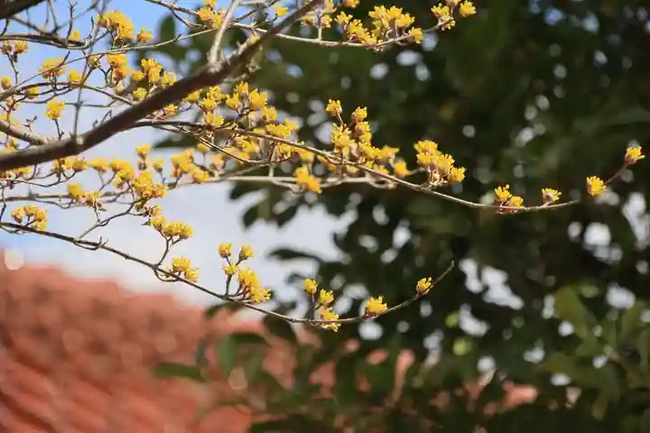 豊景神社の庭園