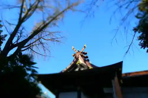 鳥越神社の本殿・本堂