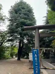 青山熊野神社(東京都)