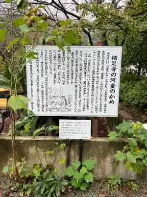 かっぱの寺 栖足寺(静岡県)