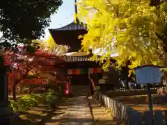 鑁阿寺の建物その他