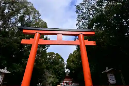 賀茂御祖神社（下鴨神社）の鳥居